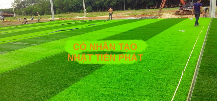 Sân bóng cỏ nhân tạo Minh Khang